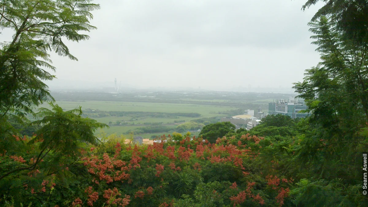 Taipei from University