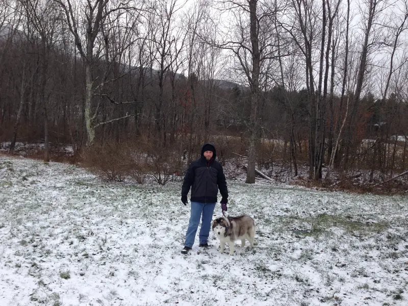 Winter in Stowe