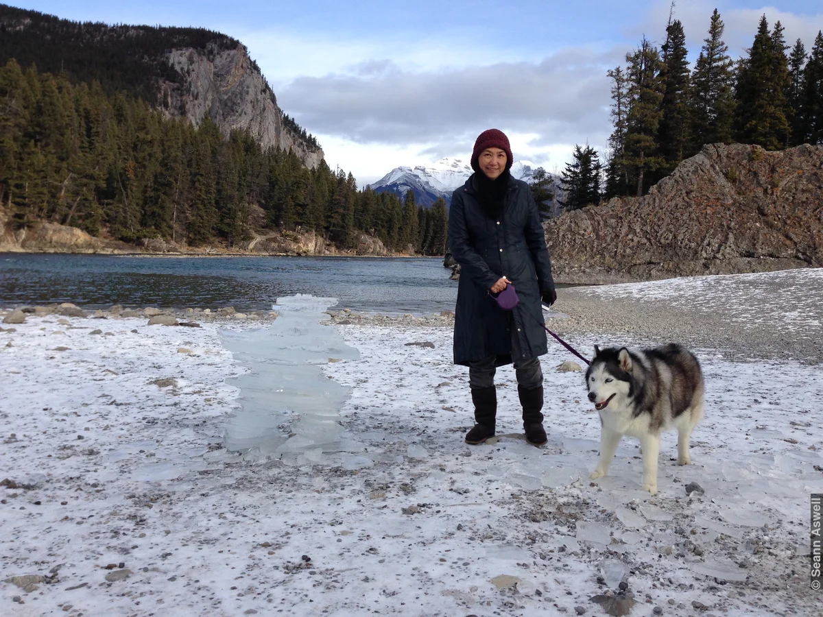 Banff Ice Sculpture