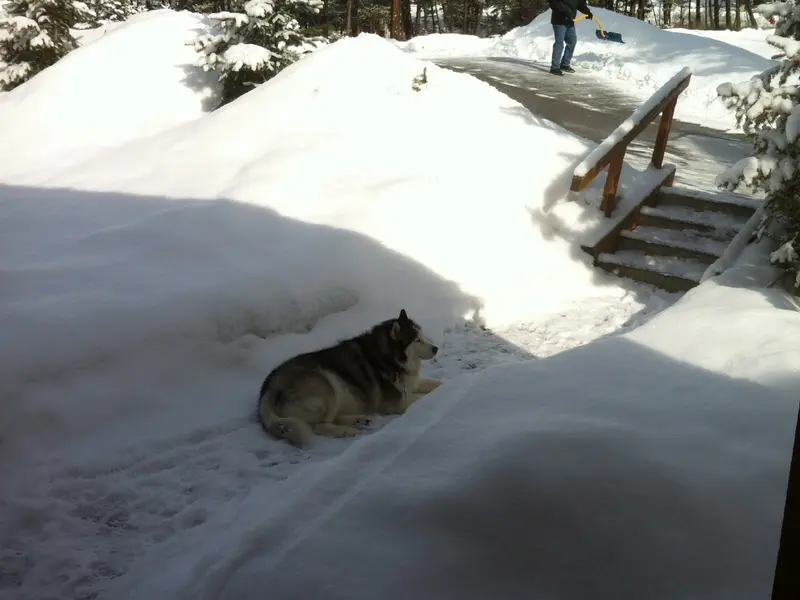 Sitting in Snow