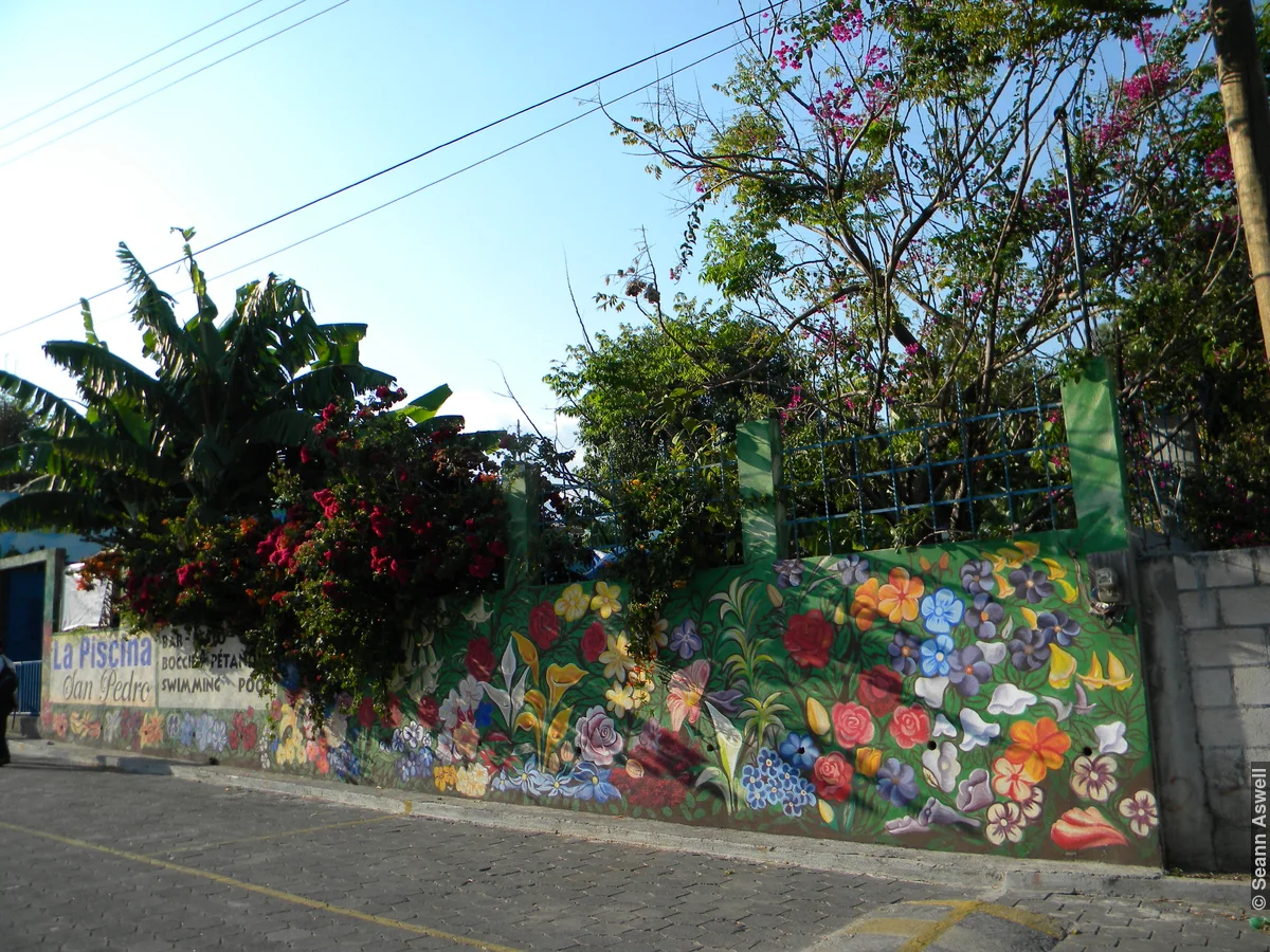 Flower Wall