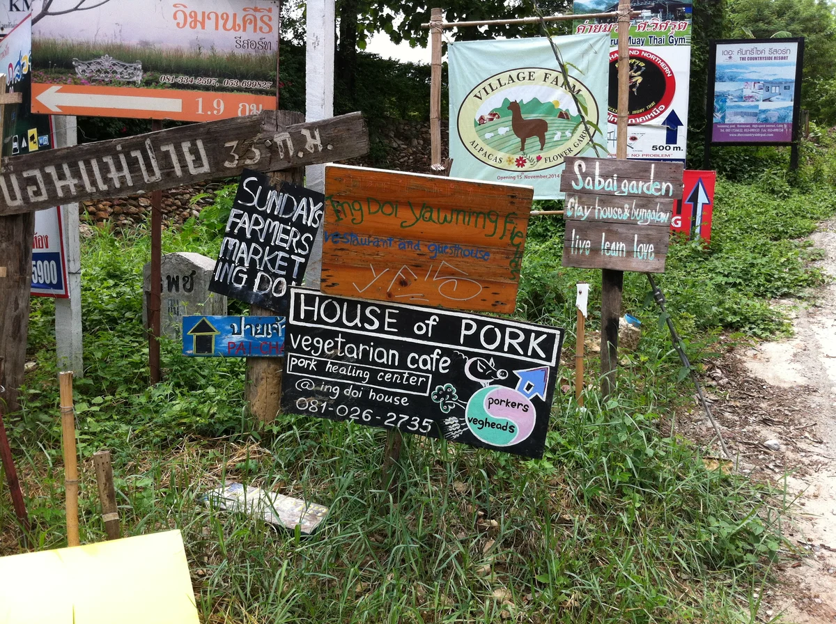20150621-124915.jpg