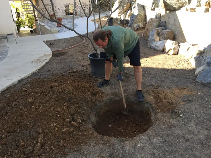 LA House - Digging Hole