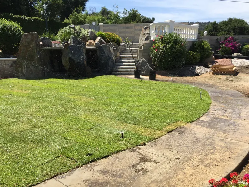 LA House - Watering Grass