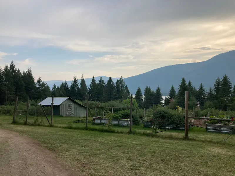 Blueberry Farm