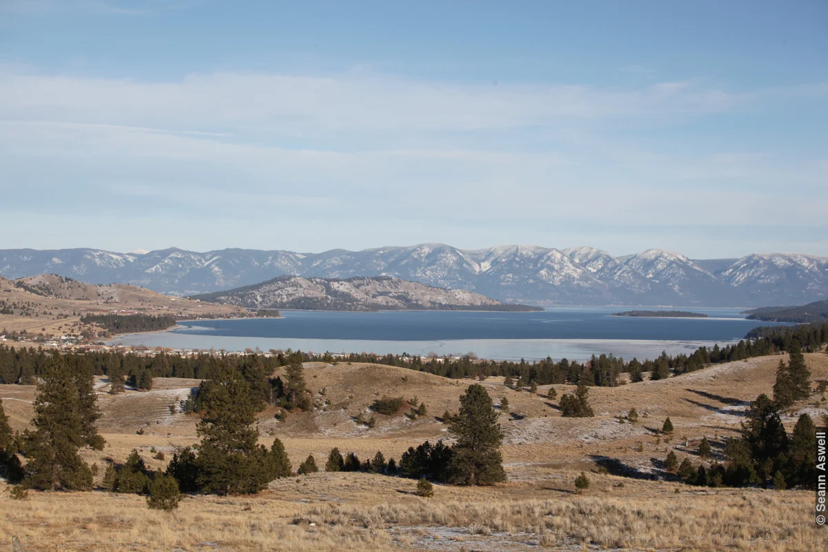 Flathead View