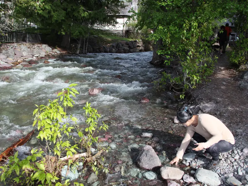 Glacier Creek Spring