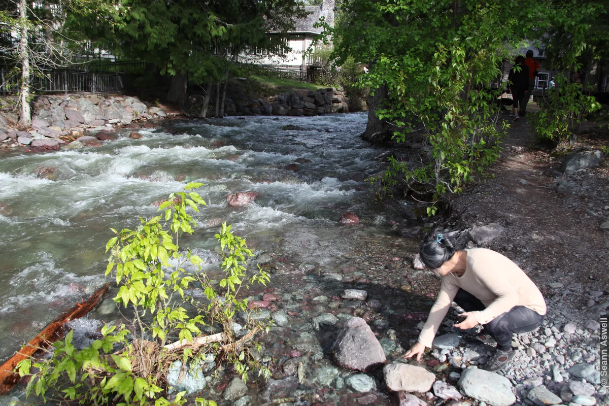 Glacier Creek Spring