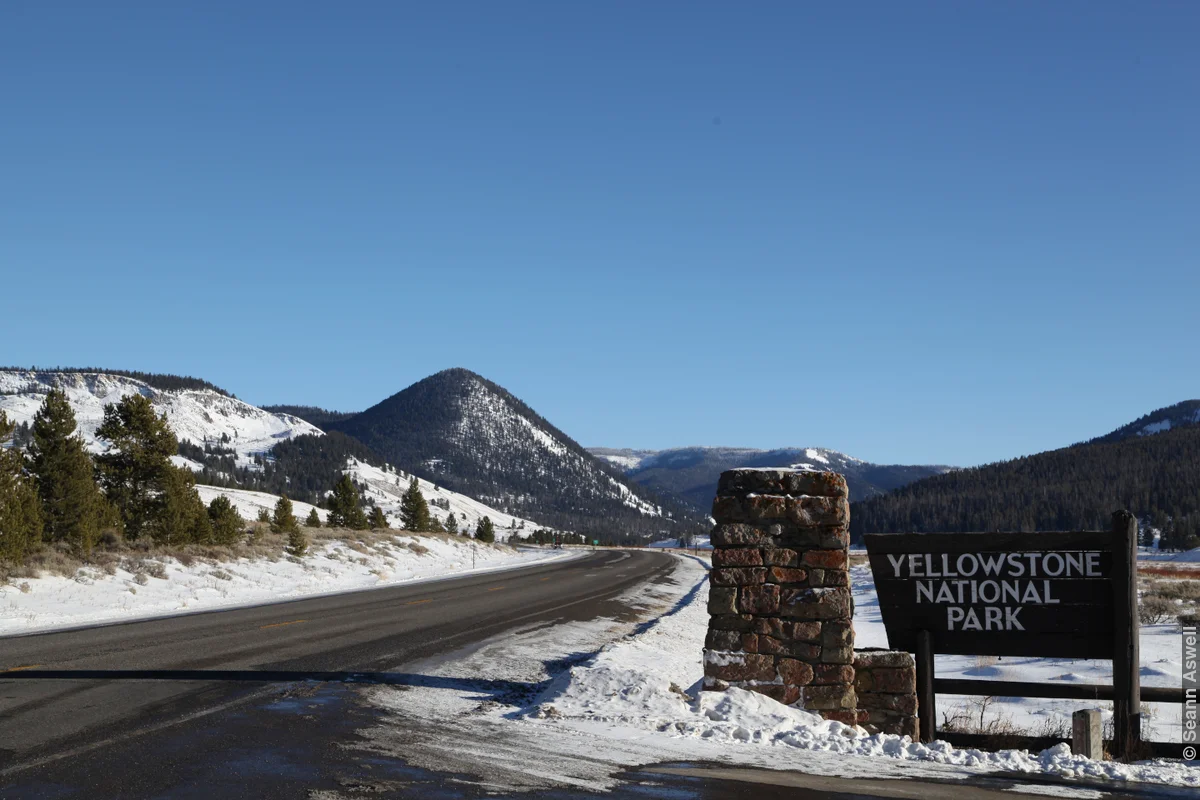 Yellowstone