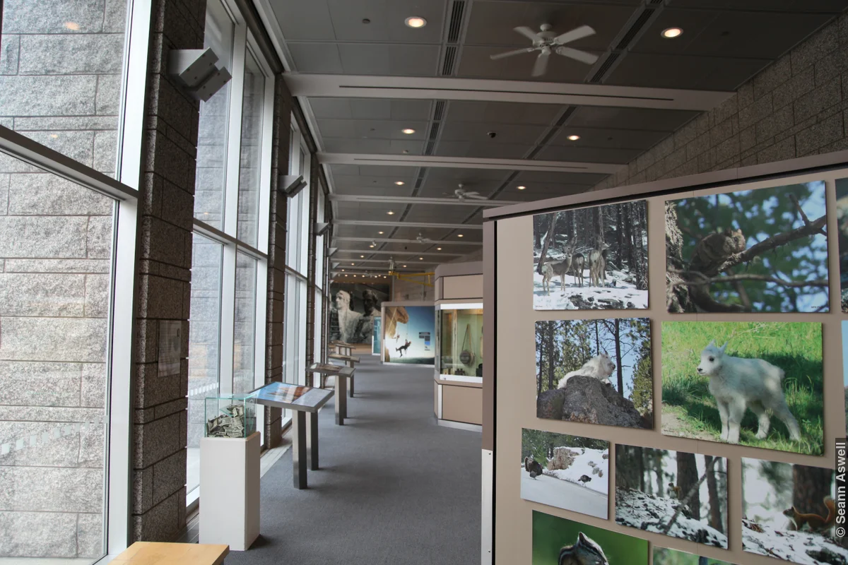 Rushmore - Interior