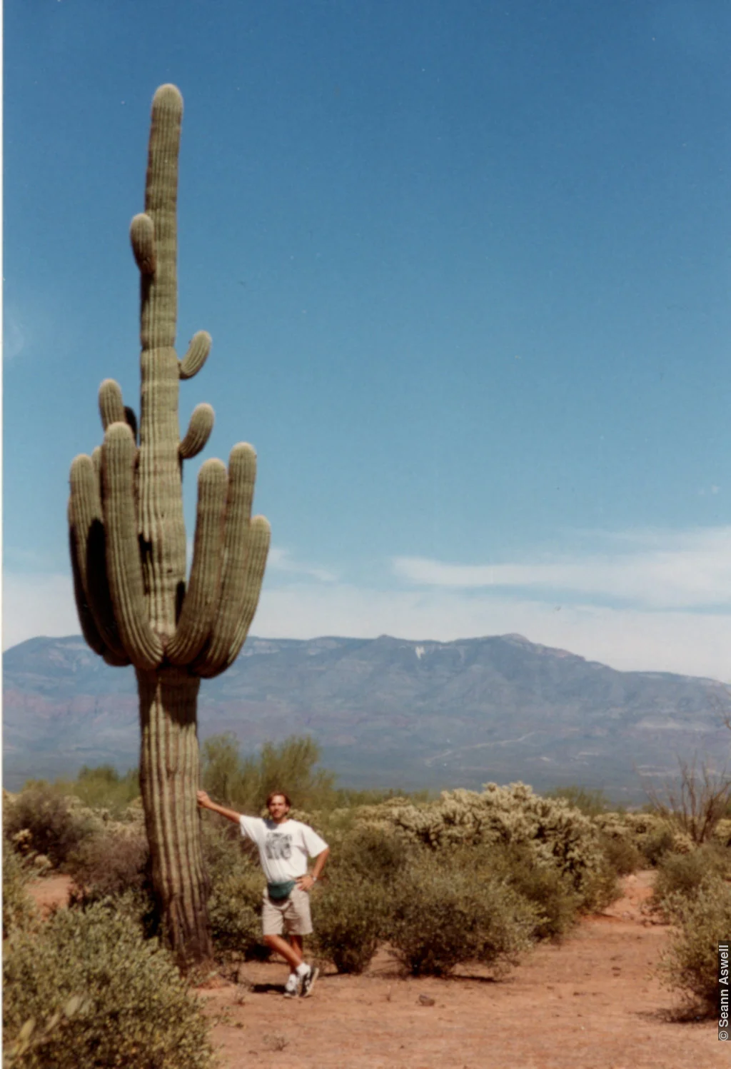 Arizona - 1994