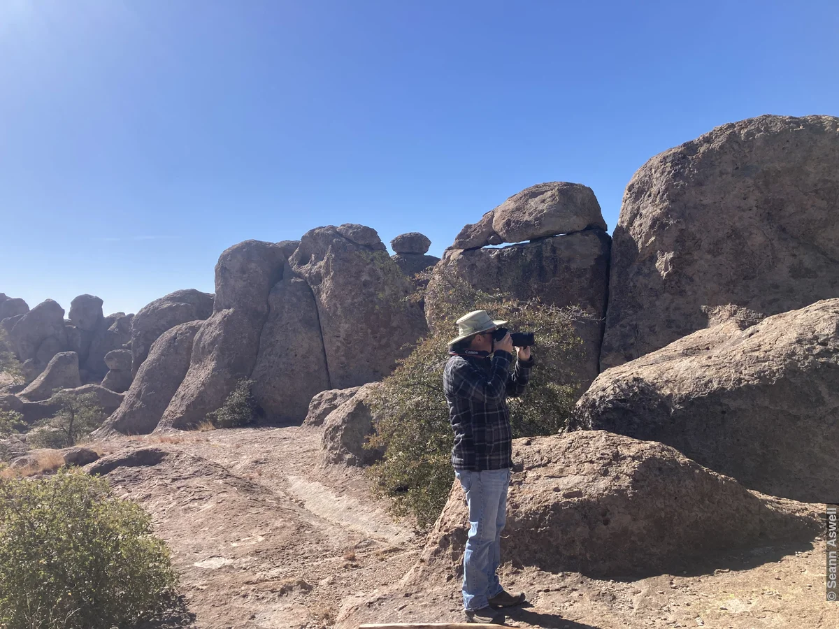 Desert Photos