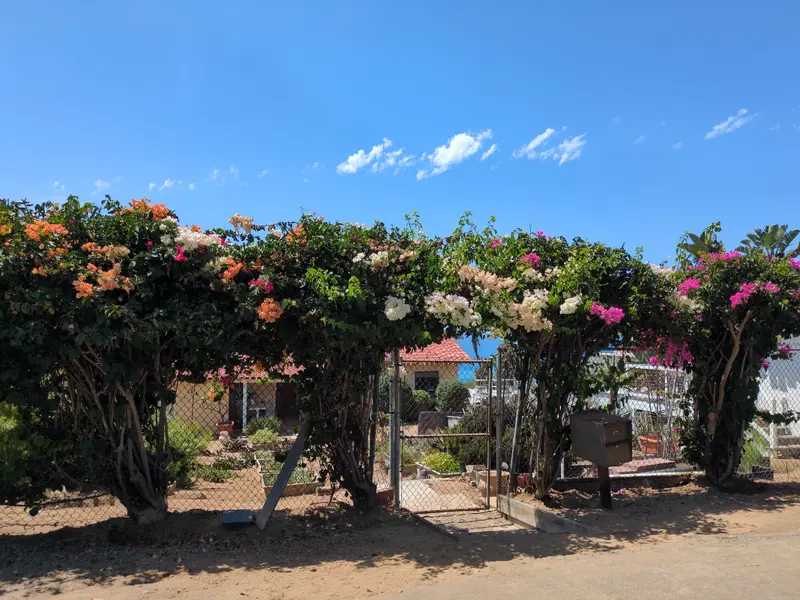 Beach Garden